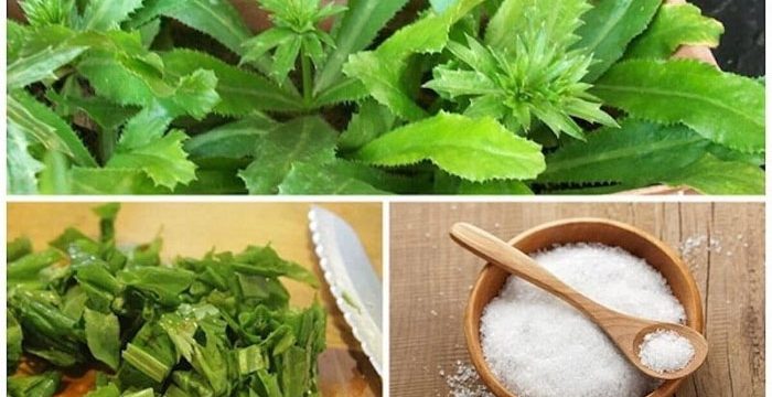 Muối và ngò gai đem lại hiệu quả giảm mùi hôi miệng đáng kể