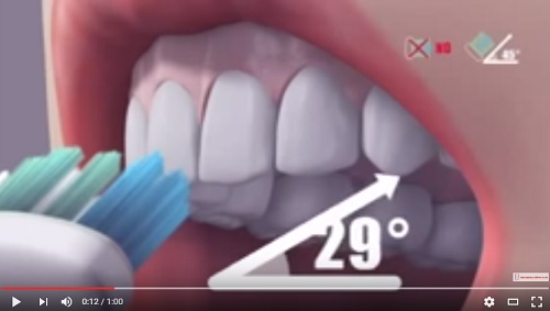 video hướng dẫn chải răng đúng cách