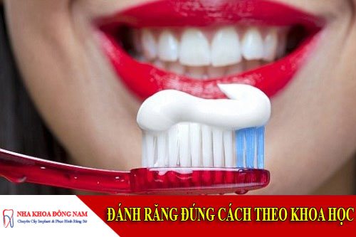 đánh răng đúng cách theo khoa học