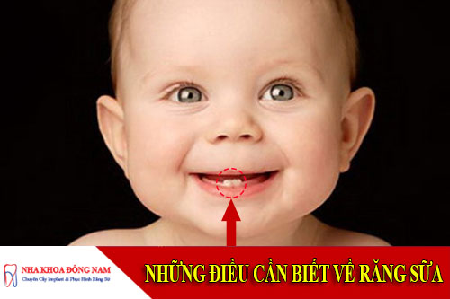 Những điều cần biết về răng sữa