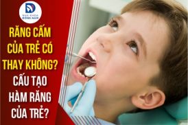 răng cấm của trẻ có thay không
