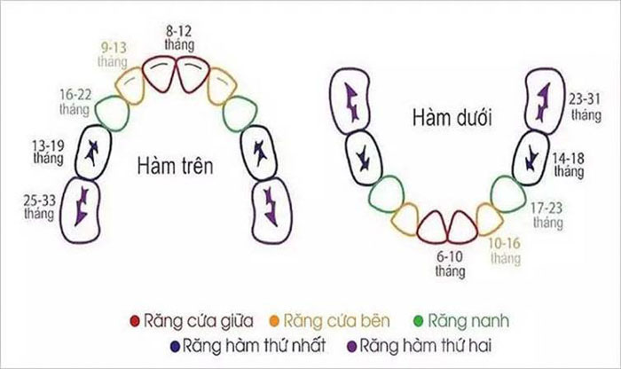 Thời gian mọc răng sữa ở mỗi trẻ có thể khác nhau