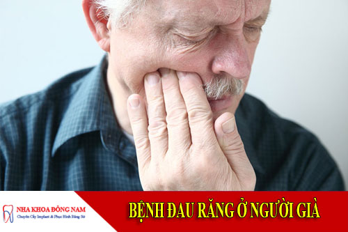 bệnh đau răng ở người già