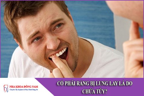 có phải răng bị lung lay là do chữa tủy