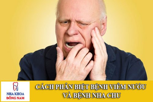 cách phân biệt bệnh viêm nướu và bệnh nha chu