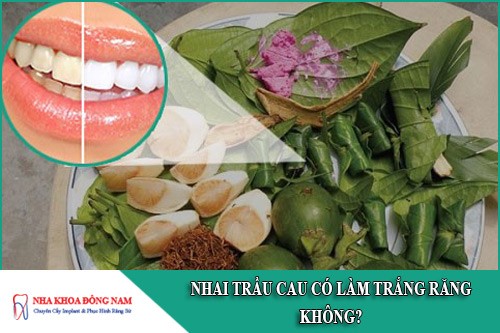 nhai trầu cau có làm trắng răng không