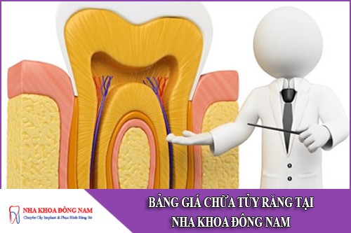 bảng giá chữa tủy răng tại nha khoa đông nam