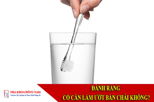 đánh răng có cần làm ướt bàn chải không