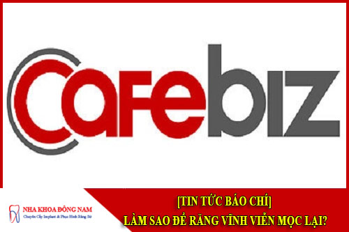 làm thế nào để răng vĩnh viên mọc lại