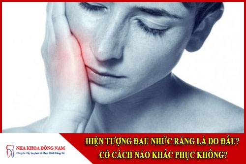 Hiện tượng đau nhức răng là do đâu