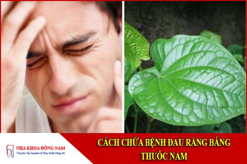 cách chữa bệnh đau răng bằng thuốc nam