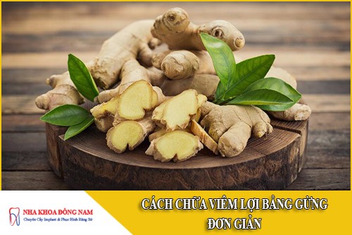 cách chữa viêm lợi bằng gừng đơn giản