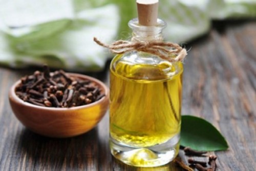 chữa viêm nướu với dầu đinh hương