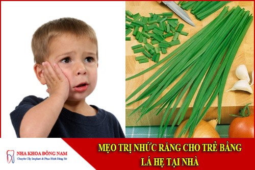 mẹo trị nhức răng cho trẻ bằng lá hẹ tại nhà