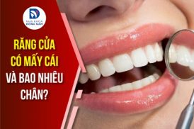 răng cửa có mấy cái và bao nhiêu chân