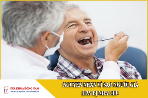 Nguyên nhân vì sao người già hay bị nha chu