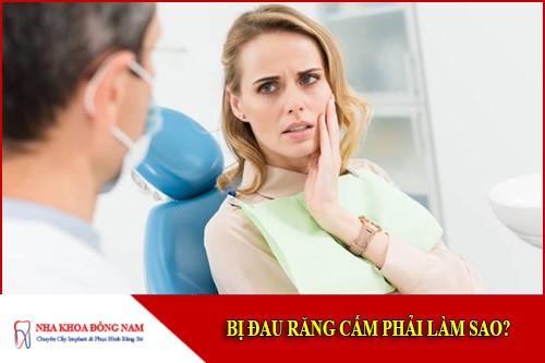 bị đau răng cấm phải làm sao