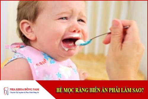 bé mọc răng biếng ăn phải làm sao