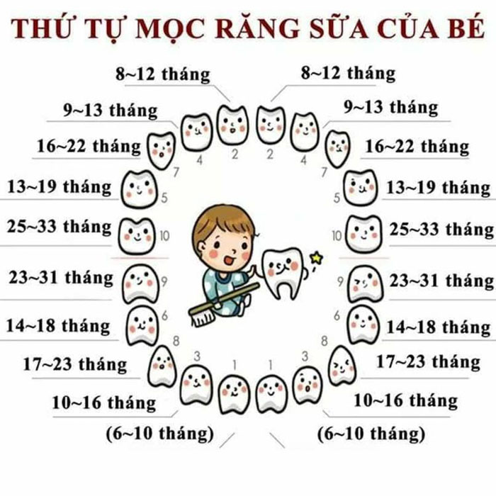 Thứ tự mọc răng sữa ở trẻ