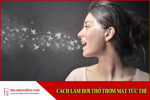 7 Cách làm hơi thở thơm mát tức thì