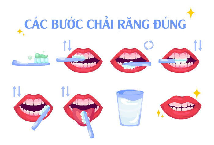 Các bước chải răng đúng