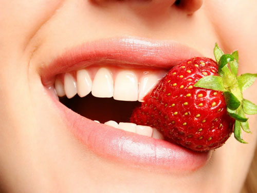 Răng nanh đảm nhiệm vai trò cắn xé thức ăn