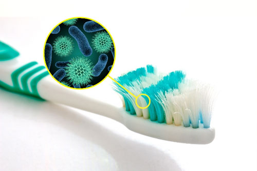 Bàn chải càng dùng lâu sẽ tích tụ nhiều vi khuẩn có hại cho răng miệng