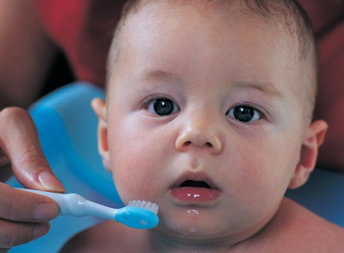 Bé 1 tuổi chỉ cần chải răng với nước không cần sử dụng đến kem đánh răng