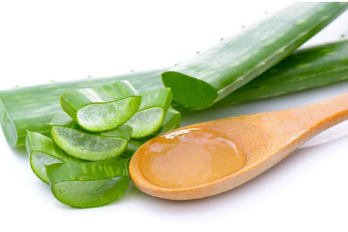 Có thể dùng gel nha đam bôi lên vết nhiệt miệng
