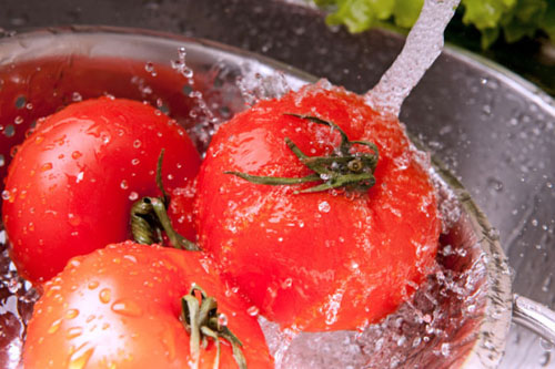 Rửa sạch kỹ lưỡng cà chua trước khi sử dụng