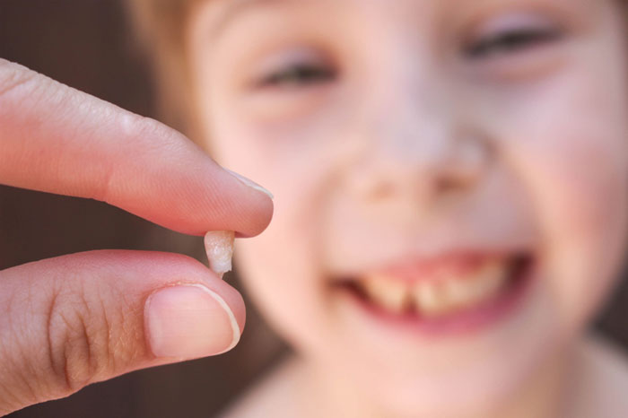 Khoảng 5 – 6 tuổi trẻ bắt đầu thay răng sữa