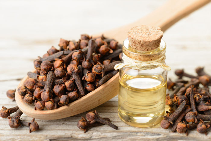 Tinh dầu đinh hương có đặc tính kháng khuẩn cao giúp cải thiện tình trạng viêm lợi