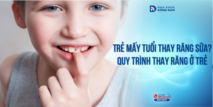 Trẻ mấy tuổi thay răng sữa? Quy trình thay răng ở trẻ